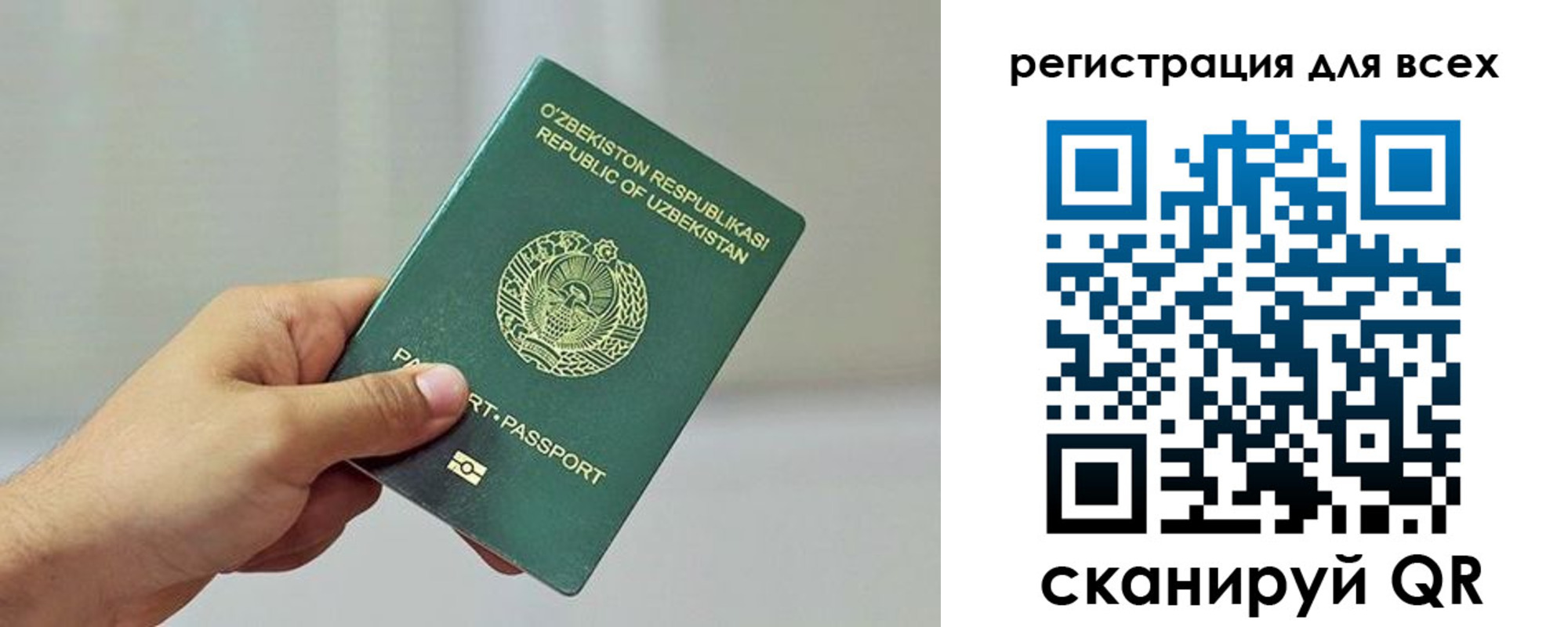 прописка ребенка в Димитровграде